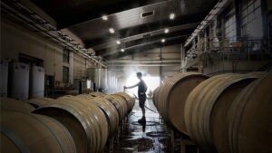 Person cleaning wine barrels.