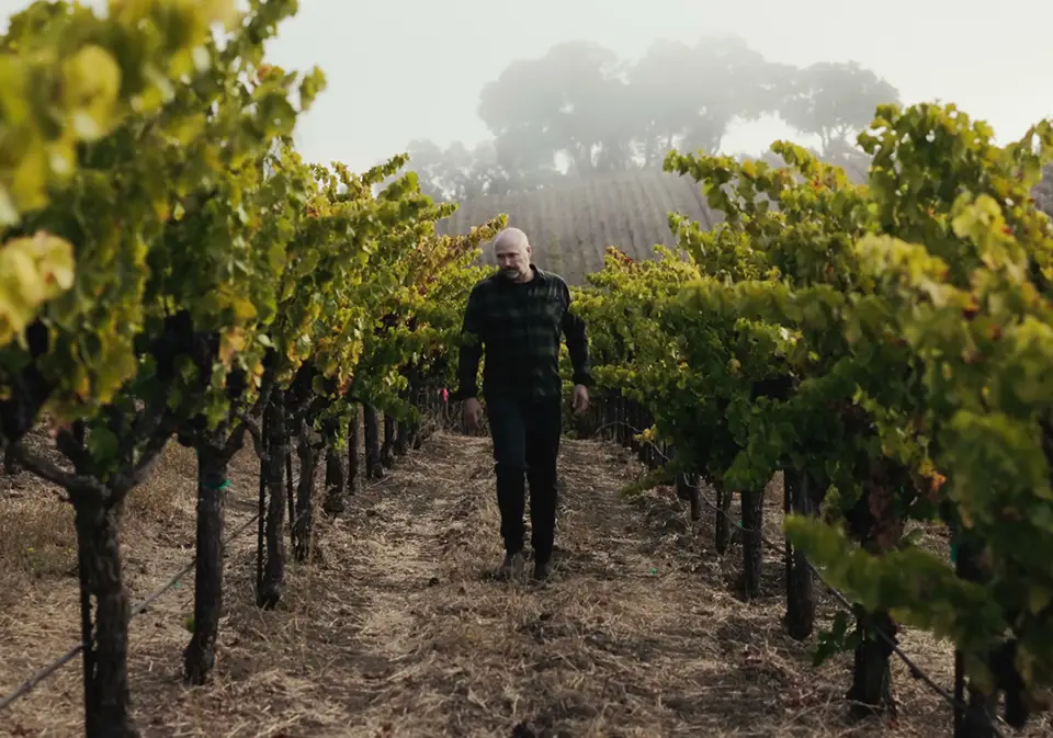 Winemaker at Denner walking through the vineyards.