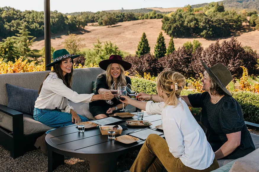 Denner Vineyards Bottle Service and picnic on the patio.
