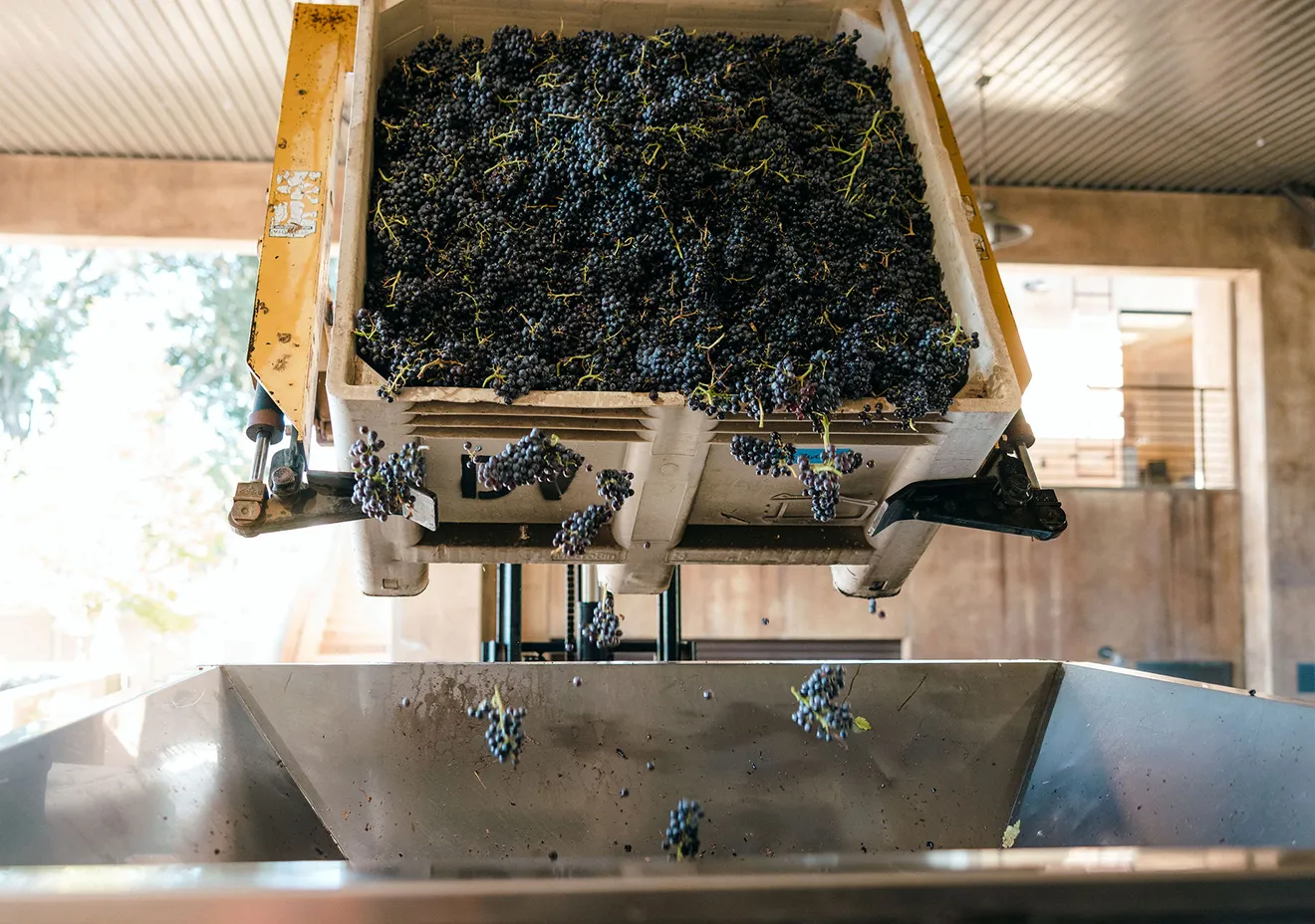 October Harvest Tours