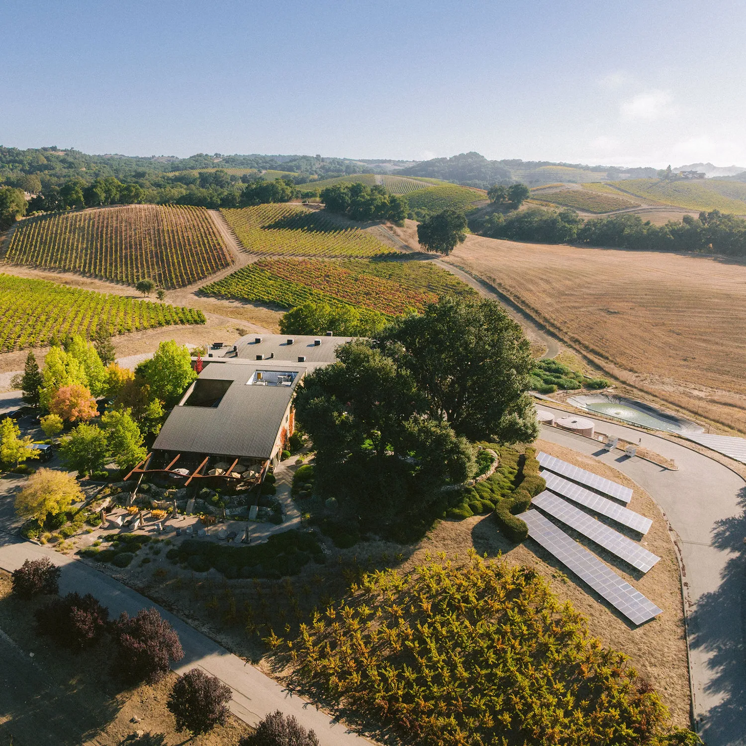 Arial image of Denner Vineyards solar panels.