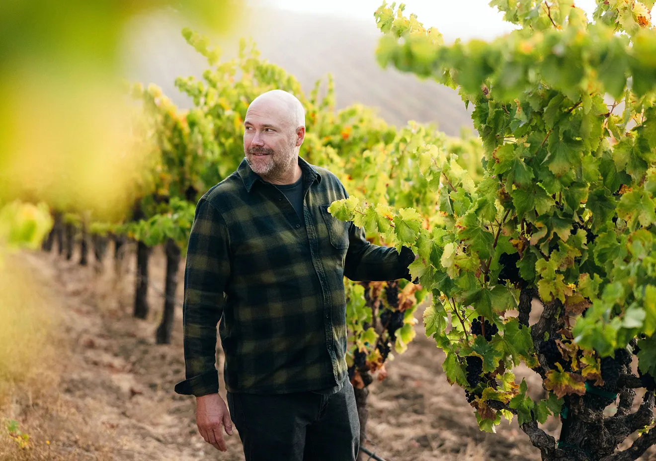 Fall Release Wine Club