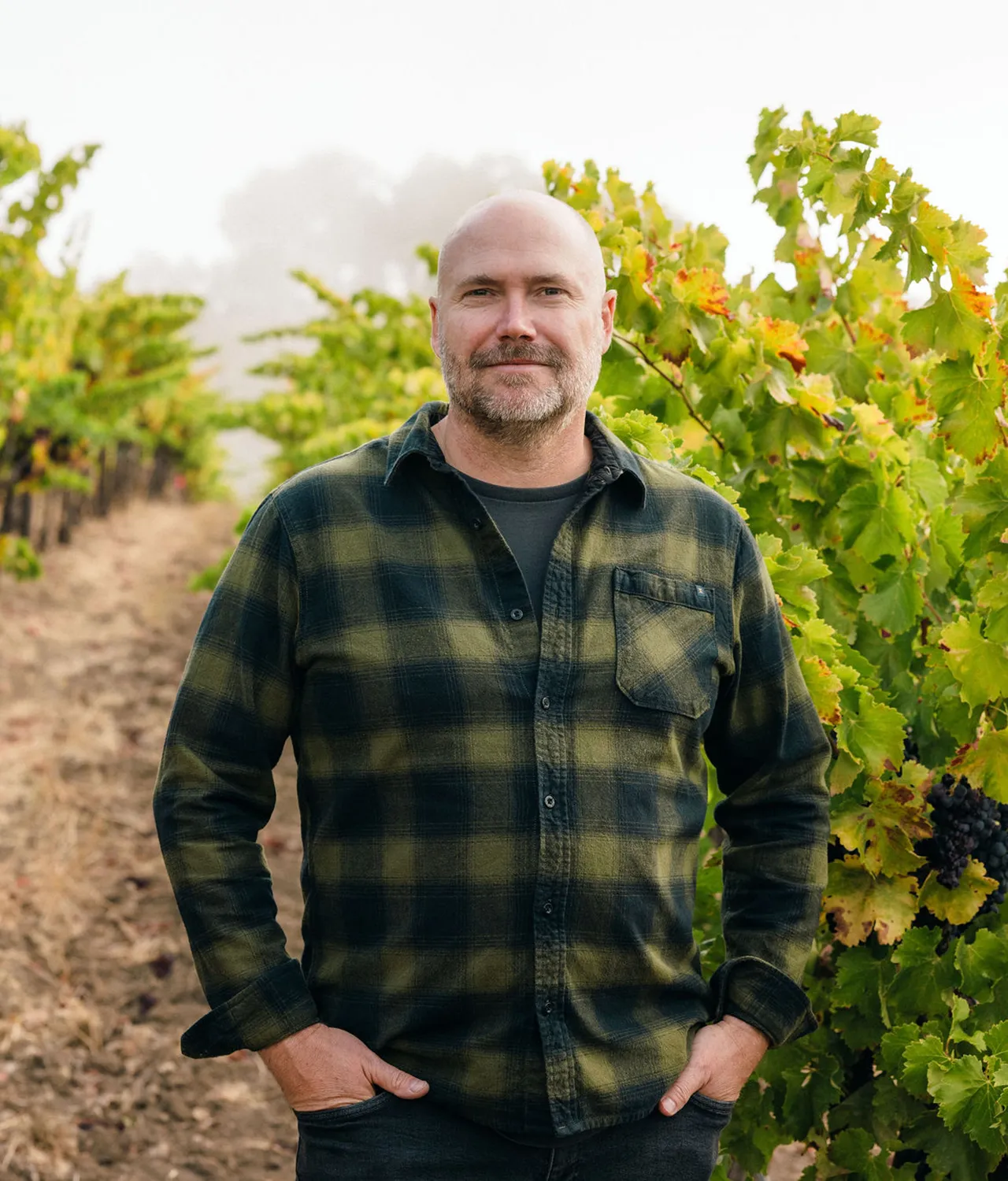 Denner winemaker, Mark Williams standing in his lush green vineyard.
