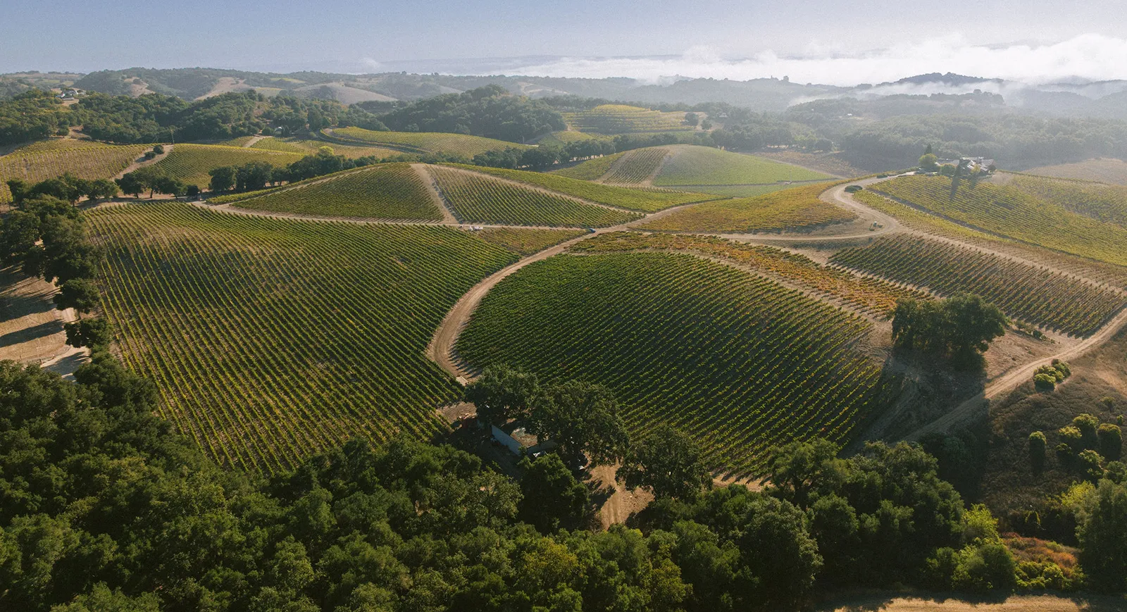Aerial view of Denner Vineyards on a beautiful sunny day.
